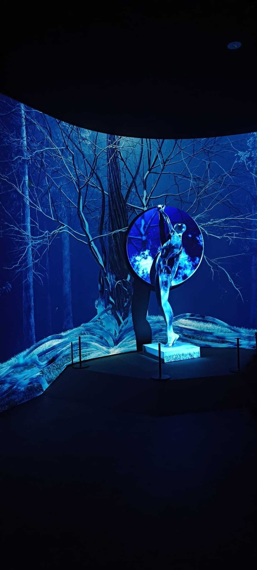 c4148ade-99ce-492c-afc4-8f6e4285d6c8