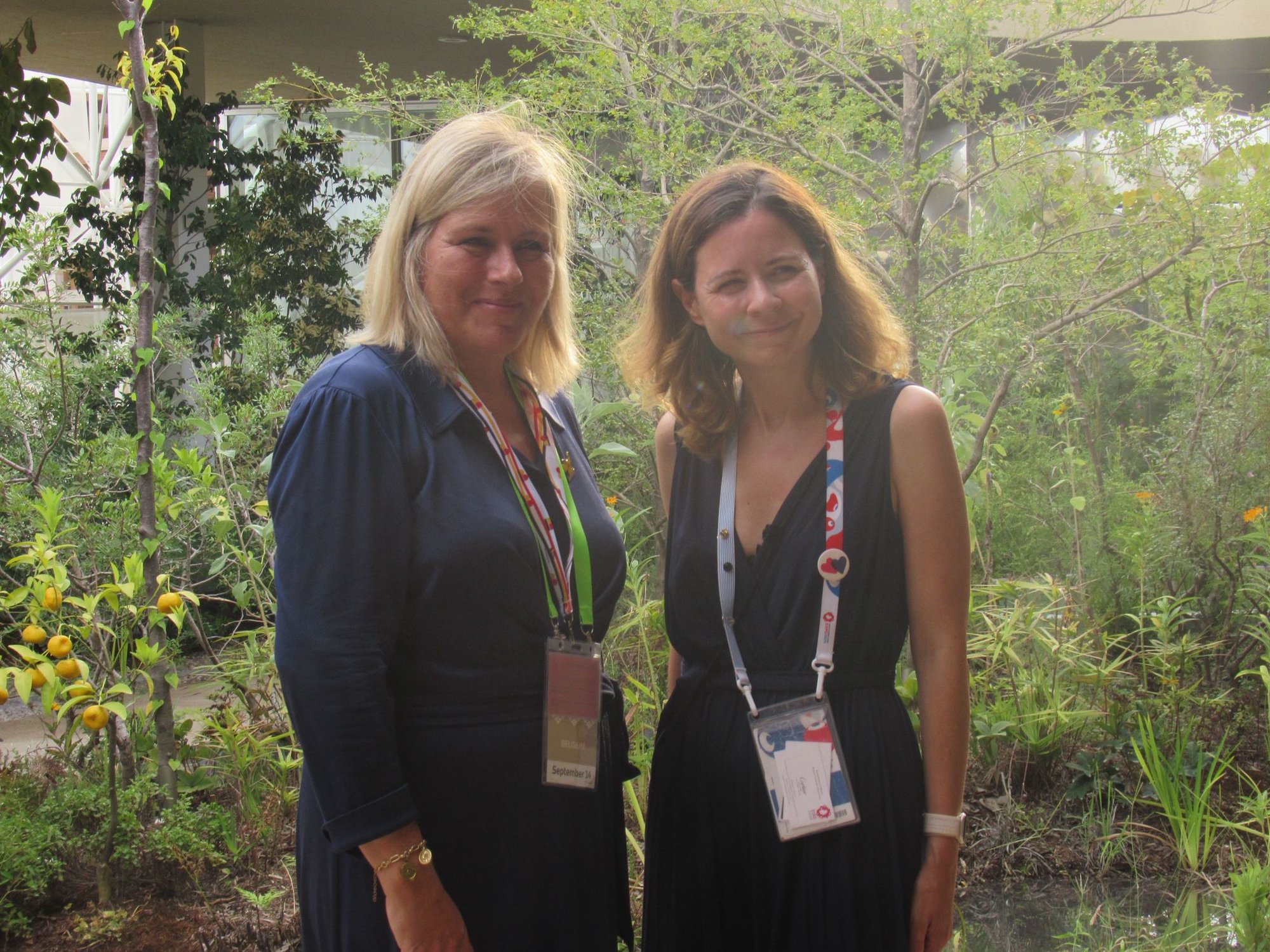 c5d70c7b-a612-4358-800f-d57404ae73cb