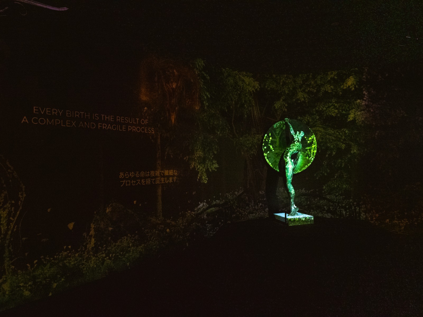 848334e5-ca3c-480f-bd07-a316250f3ef7