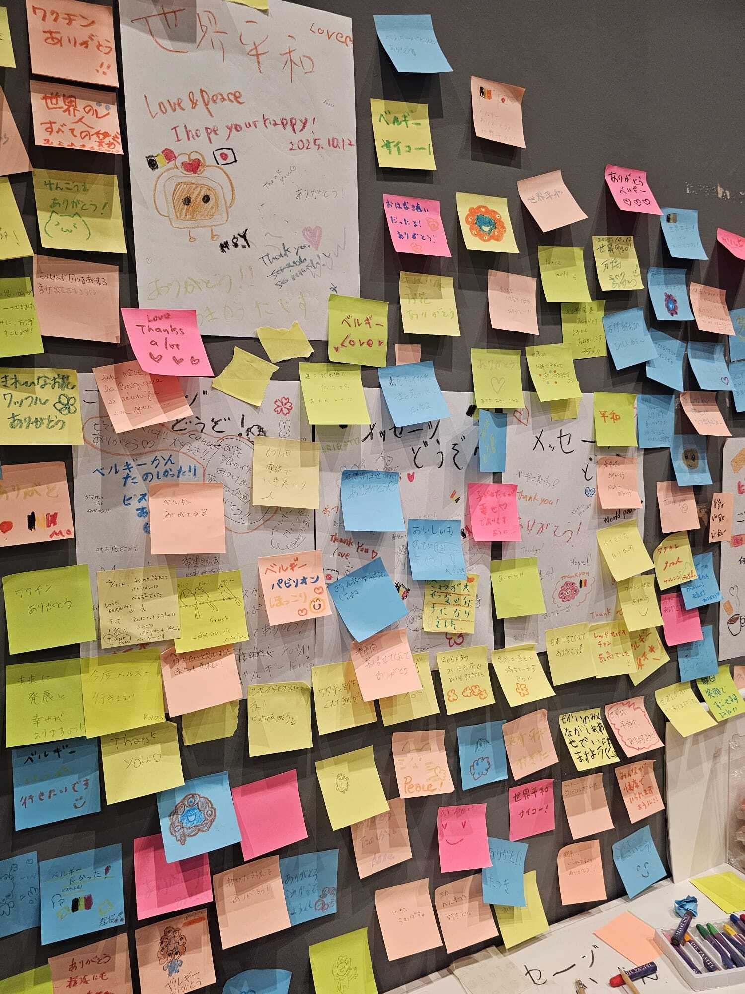 d0665063-b072-4faf-af6d-73d6354d6cf8